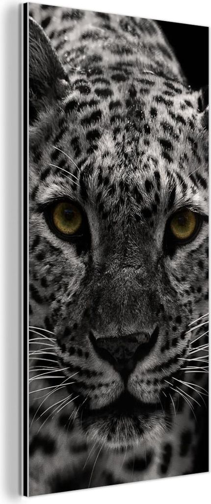 MuchoWow Wanddekoration Metall Metallbild Wandkunst 40x80 cm Schwarz-Weiß-Foto eines farbigen Leoparden MuchoWow Aluminium Gemälde - Wanddekorati...