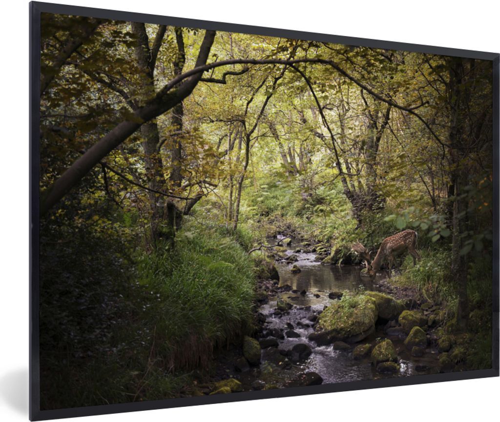 MuchoWow Gerahmtes Poster Hirsch - Baum - Wald 60x40 cm - Poster mit Schwarzem Bilderrahmen Wandposter Rahmen Foto Bilder - Printing - Wanddeko S...