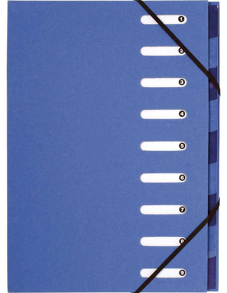 Exacompta 6x Ordnungsmappe RC-PP Gummizug dehnbar 9 Fächer A4 - Hellblau 52982E
