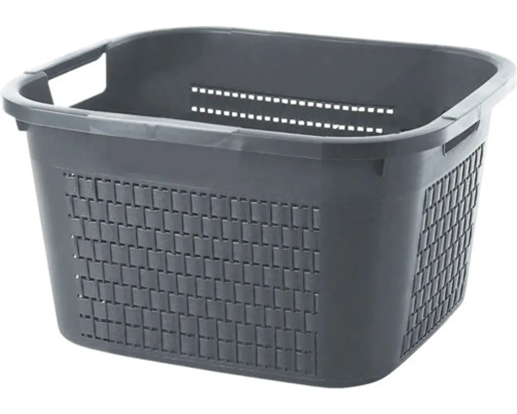 Analisi Rotho Country 22L Antracite - Cesto Tecnico Alta Resistenza
