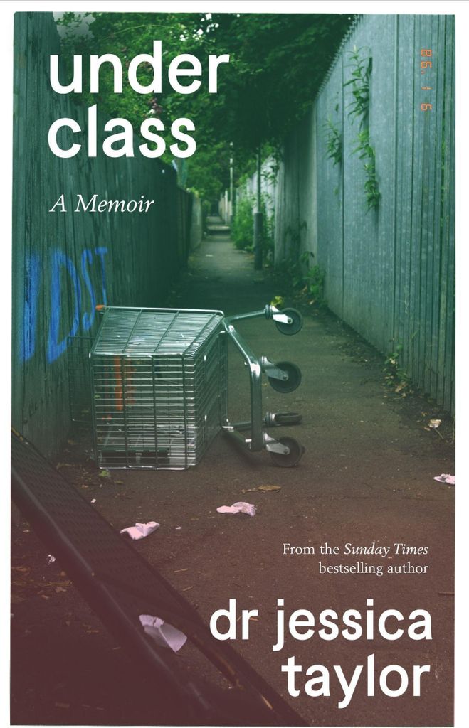 Taylor, J: Underclass