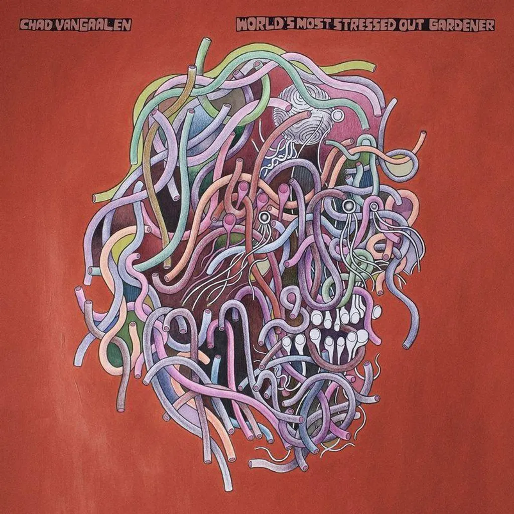 Vinyle Chad Vangaalen World's Most Stressed Out Gardener Rare LP