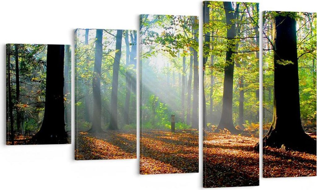 Bild auf Leinwand - Leinwandbild - Wald Blätter Sonne - 100x60cm - Wand Bild - Wanddeko - Leinwanddruck - Bilder - Kunstdruck - Wanddekoration - L...