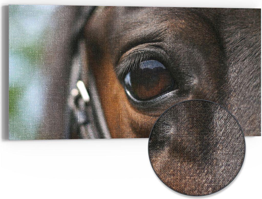 DEQORI Hybrid Leinwand Bild 60x30 cm 'Blick der Verbundenheit' Wandbild Glas flach modern