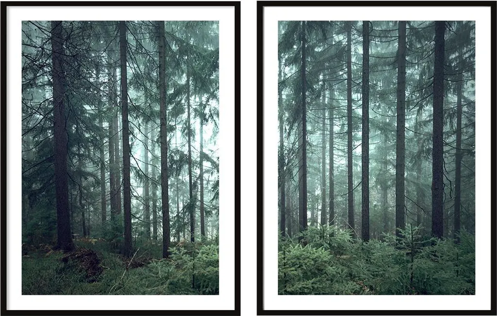 Diptyque de 2 Tableaux Dark Forest P2088 avec Cadre 53x73cm Bildposter