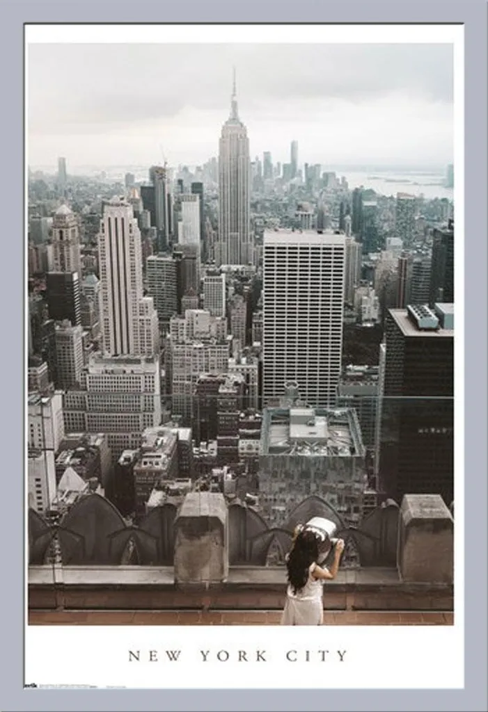 Cornice Argento 61x91,5 cm con Poster NYC | Shinsuke Maxi Vetro Acrilico