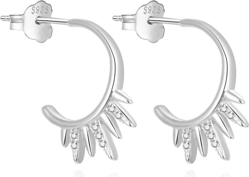 Boucles d'oreilles rondes en argent et zircon AGUP1372L - Éclat Durable