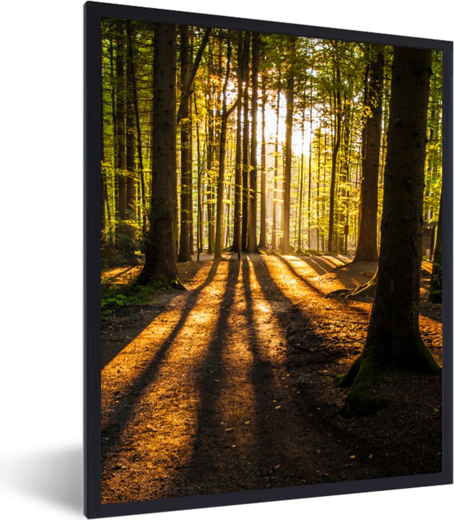 MuchoWow Gerahmtes Poster Sonne - Bäume - Wald - Landschaft - Natur 30x40 cm - Poster mit Schwarzem Bilderrahmen Wandposter Rahmen Foto Bilder -...