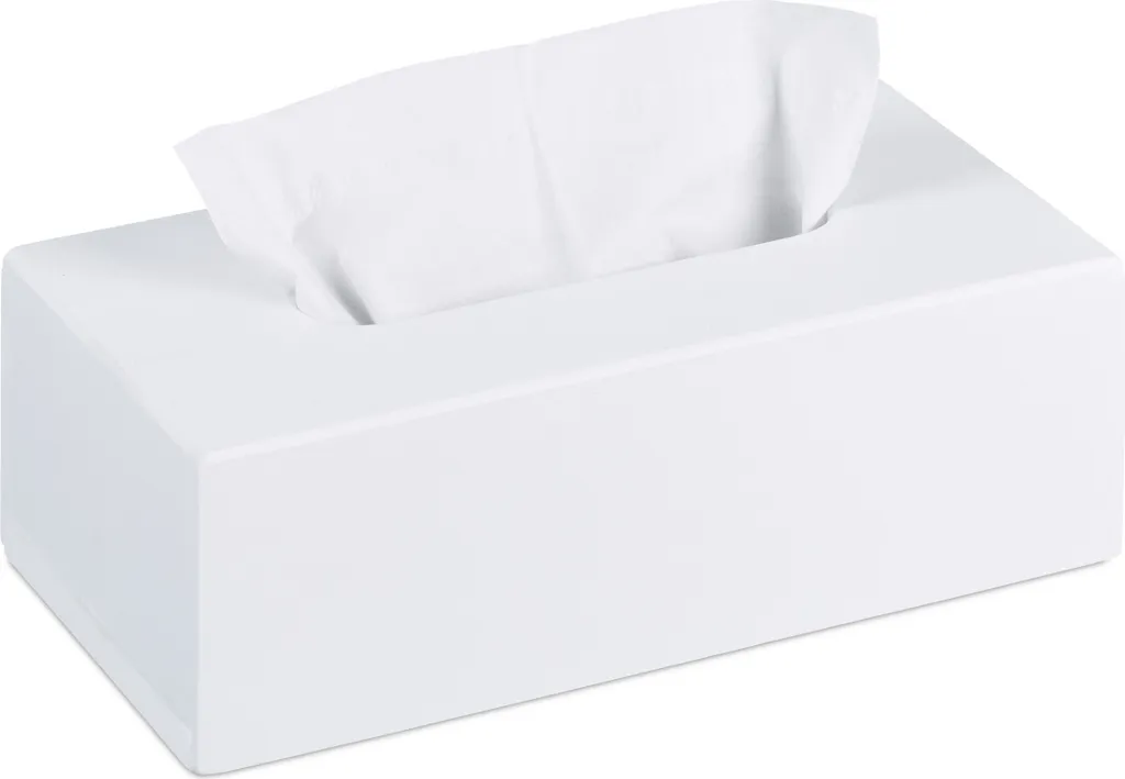 Boîte à lingettes bambou blanc Relaxdays : finissez-en avec le plastique