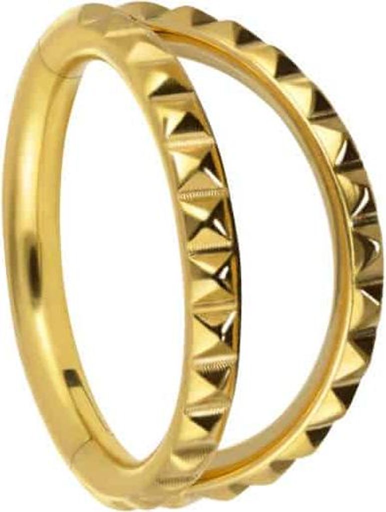 Ohrpiercing, Nasenpiercing, Septum Piercing Titan Segmentring Clicker 2 RINGE + NIETEN Gold Innendurchmesser: 10 mm