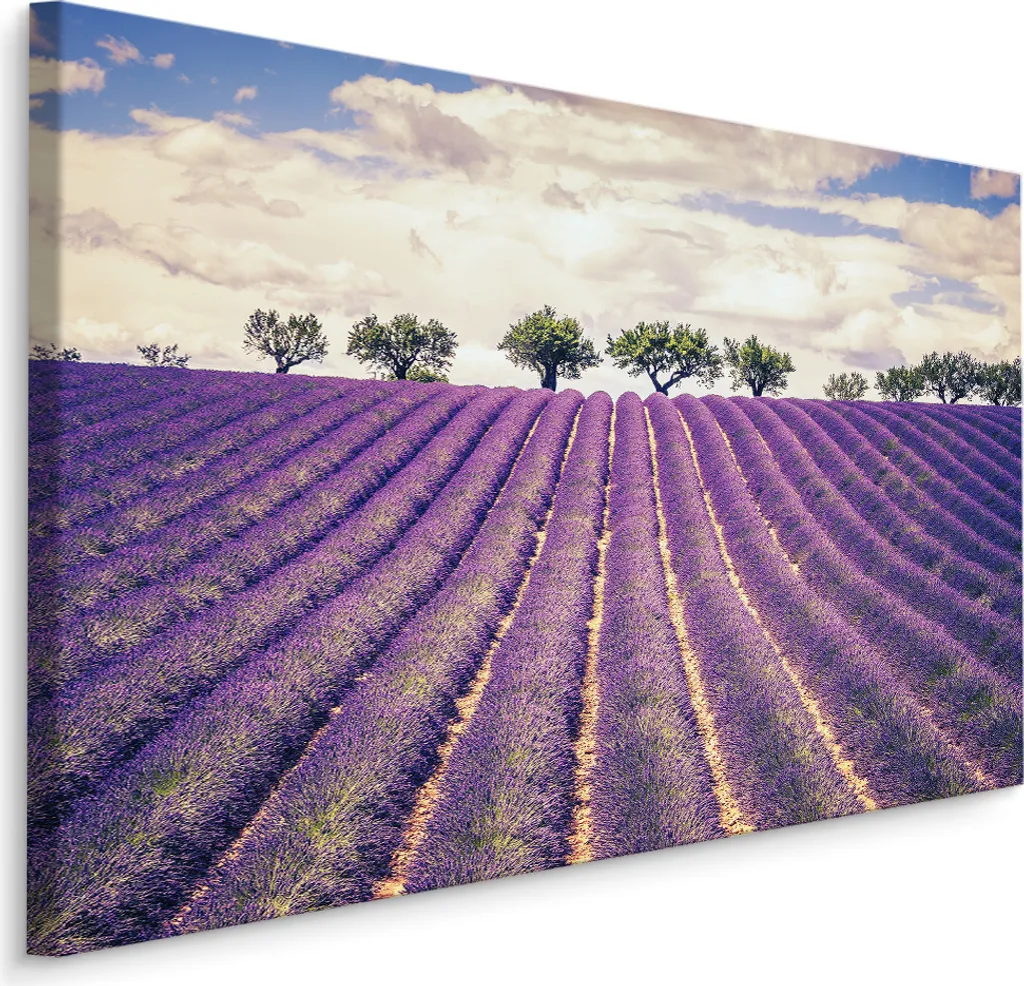 Favolosa carta da parati su tela 100x70 cm XXL stampa d'arte natura fiori campo di lavanda