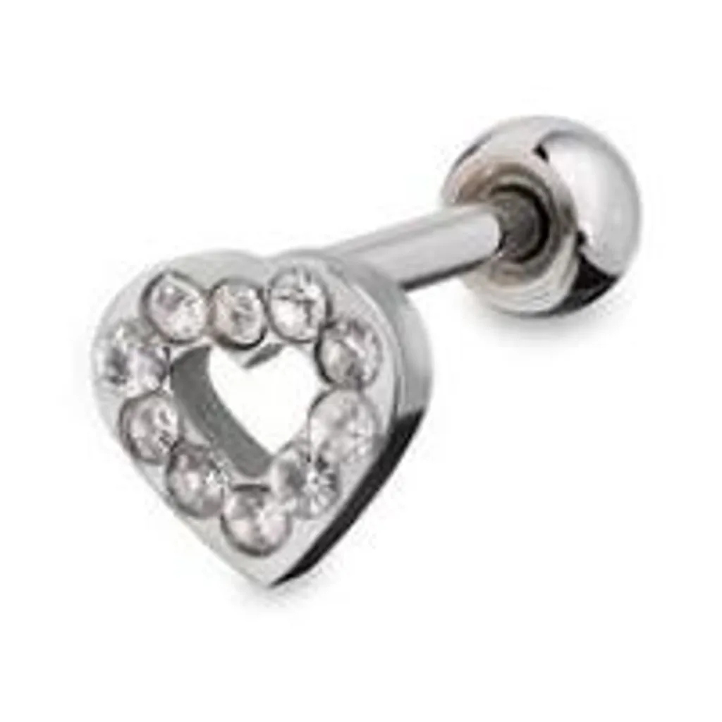 Piercing Anneau en Acier Chirurgical 316L Argenté Modèle As.pf01C
