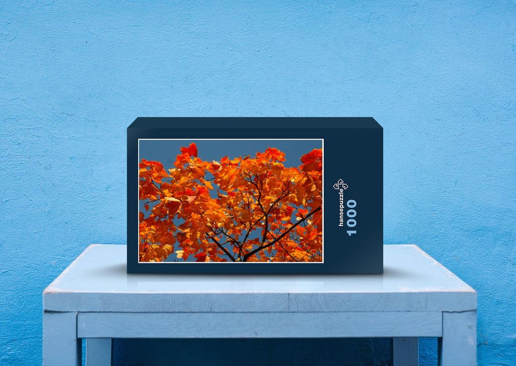 hansepuzzle 37171 - Blätter Puzzle, 1000 Teile, Natur, 60,0 x 46,0cm mit hochwertiger Aufbewahrung, Kartonbox und wiederverschließbarem Beutel