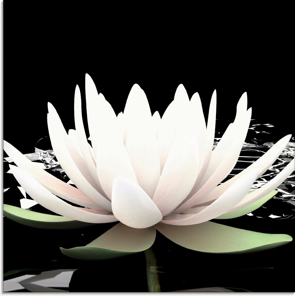 ARTland Glasbild Zwei Lotusblumen auf dem Wasser Größe: 20x20 cm