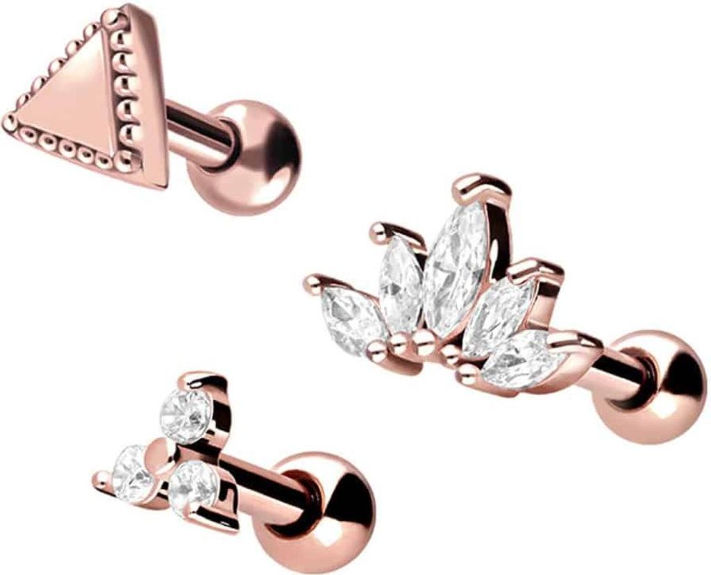 Ohrpiercing SET Chirurgenstahl Ohrpiercing MIX