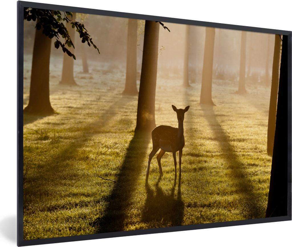 MuchoWow Gerahmtes Poster Hirsche - Sonne - Bäume 60x40 cm - Poster mit Schwarzem Bilderrahmen Wandposter Rahmen Foto Bilder - Printing - Wandde...