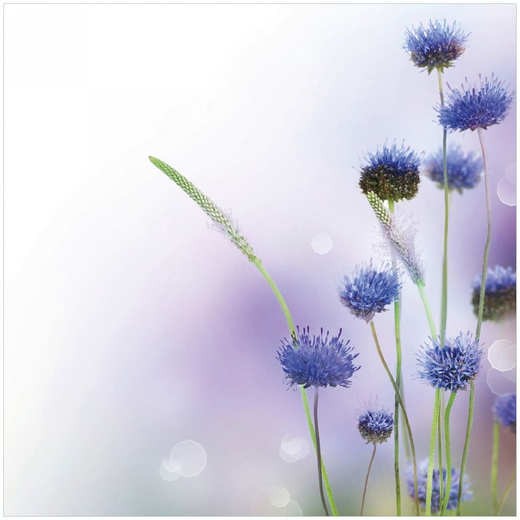 Wallario Memoboard Magnettafel aus Glas, Größe 50 x 50 cm, Motiv Abstrakte lila Blume
