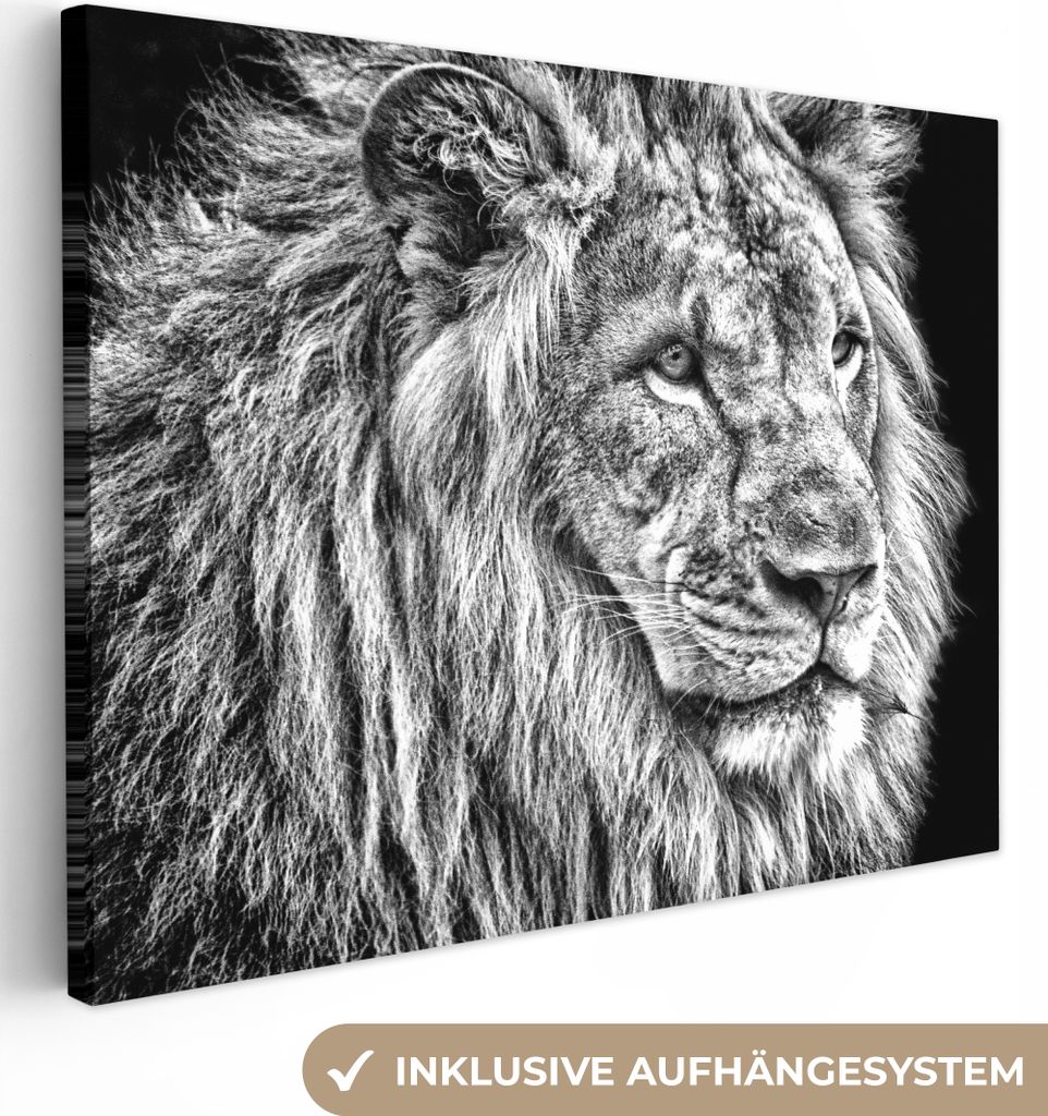 MuchoWow - Leinwandbilder - Porträt - Löwe - Schwarz und weiß, Wandbild, Wanddeko Bilder Wohnzimmer, 120x90 cm