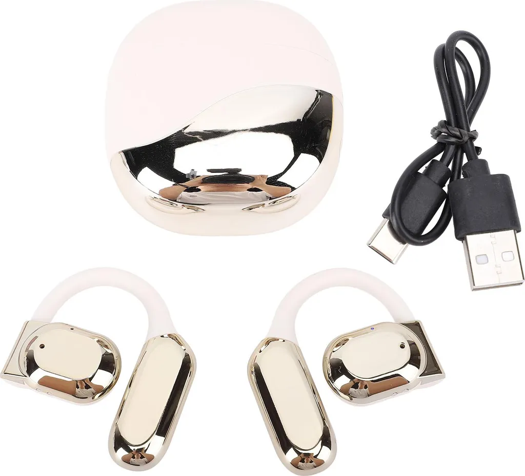 Écouteurs Traducteurs IA à Réduction de Bruit Active et Design Earhook