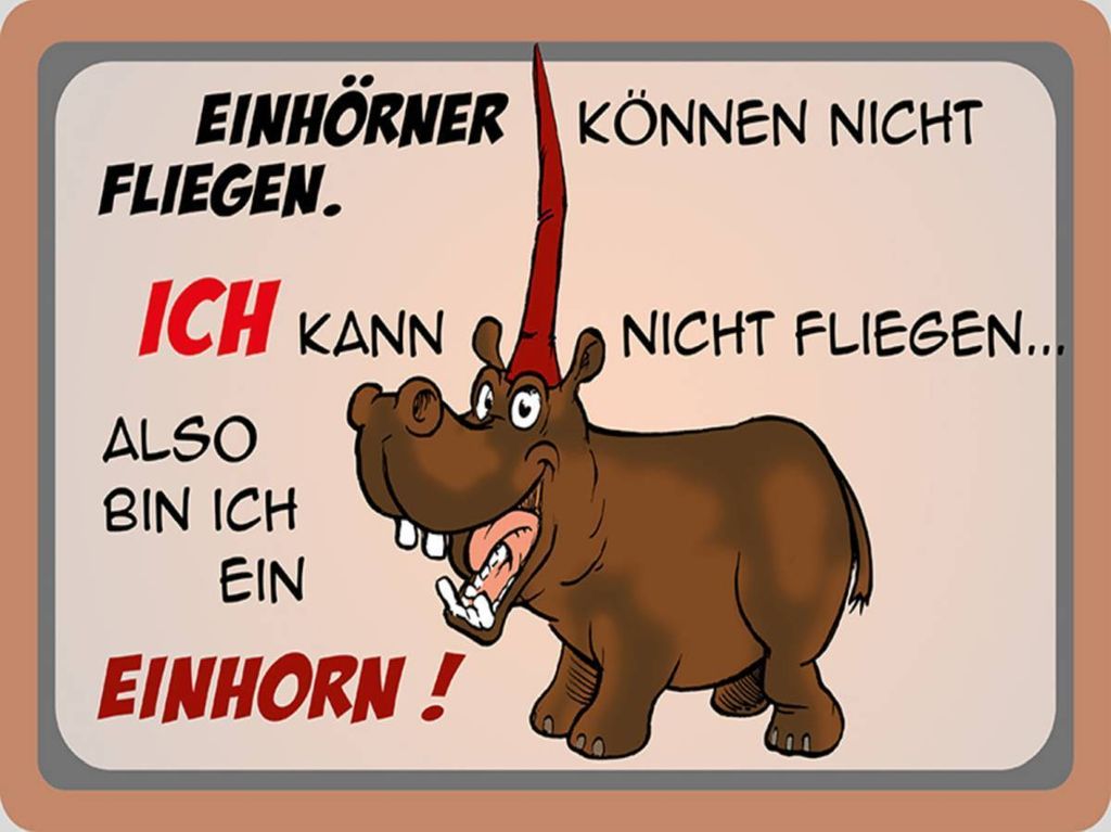 vianmo Holzschild 30x40 cm Tiere kann nicht fliegen bin Einhorn