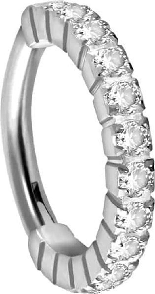 Ohrpiercing, Nasenpiercing, Septum Piercing Titan Segmentring Clicker EINGEFASSTE KRISTALLE Silber Innendurchmesser: 8 mm