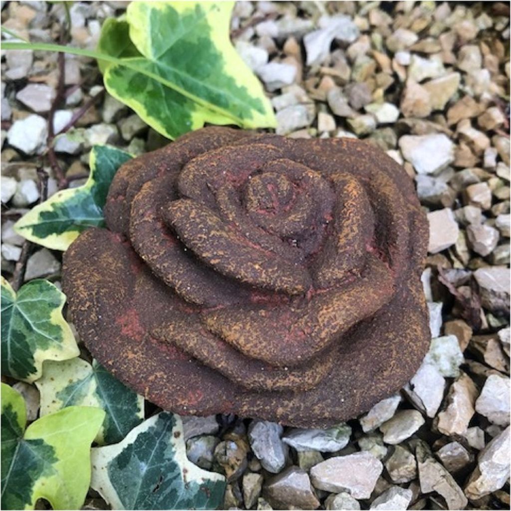 Rosenblüte Stein Rose Steinrose Rosen Blüte Blumen Produktbild 
