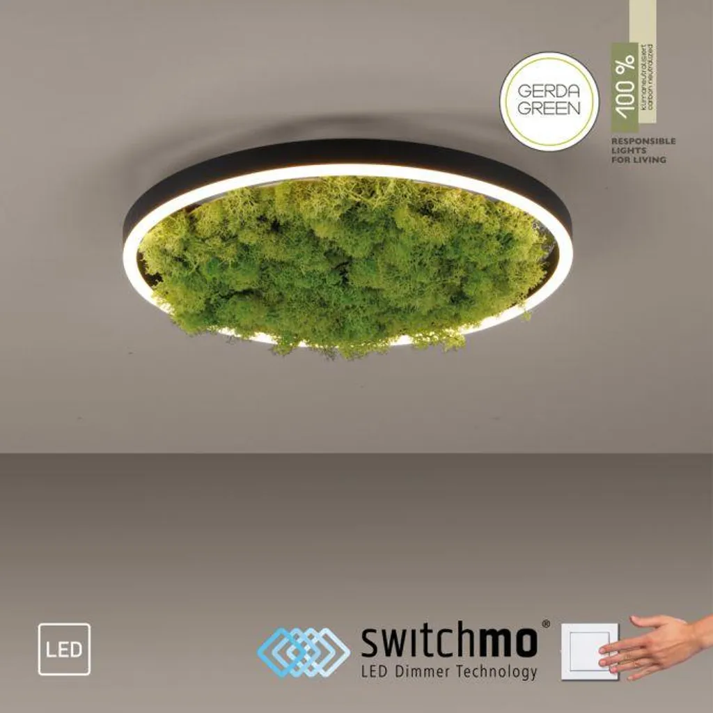 Plafonnier LED Dimmable Vert Mousse 20W : Éclairage Anti-Éblouissement