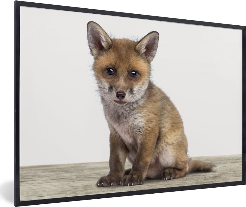 MuchoWow Gerahmtes Poster Fuchs - Baby-Fuchs - Kinder - Mädchen - Jungen 60x40 cm - Poster mit Schwarzem Bilderrahmen Wandposter Rahmen Foto Bil...