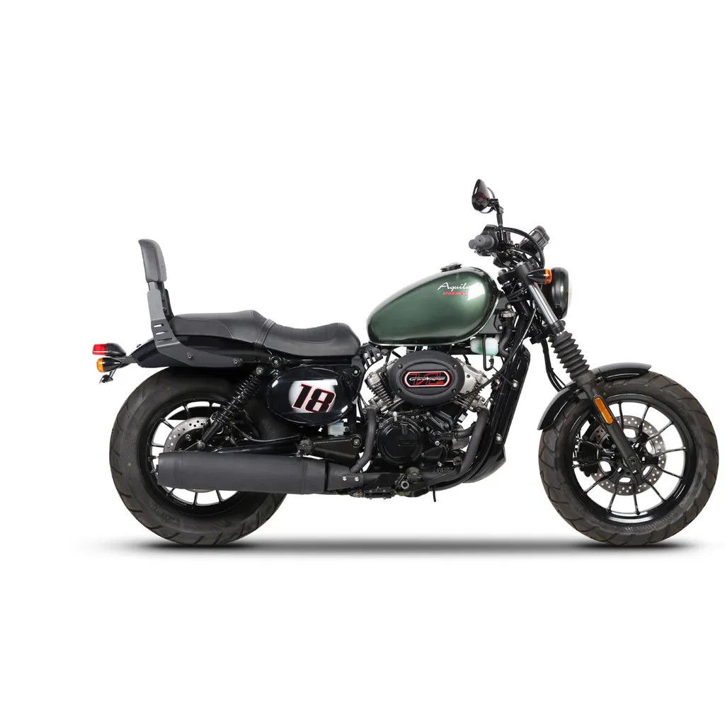 SHAD Sissybar: Lo Schienalino Moto Definitivo per Passeggero