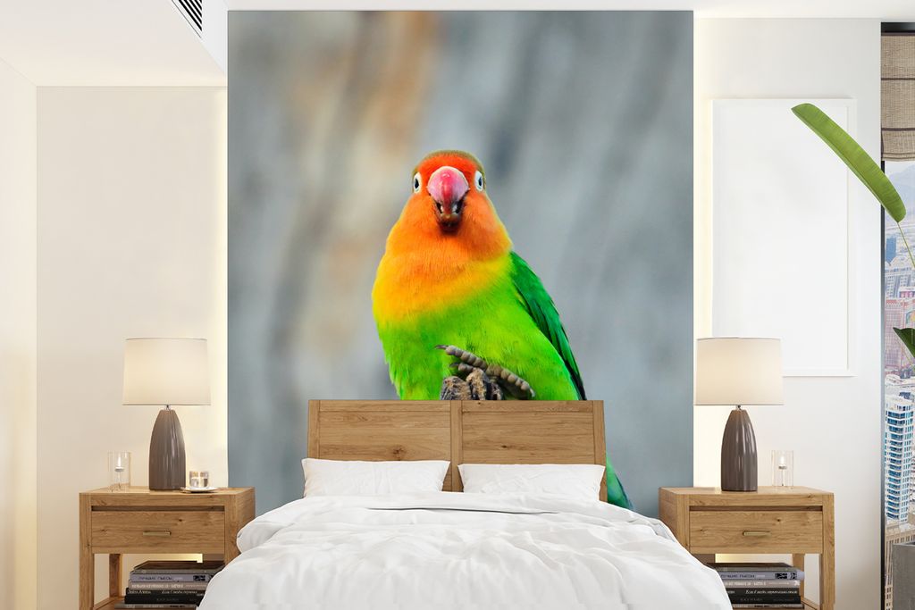 MuchoWow Fototapete für Wohnzimmer oder Schlafzimmer Wandtapete Vinyl Motivtapete Zwergpapagei - 205x280 cm - Wandbild