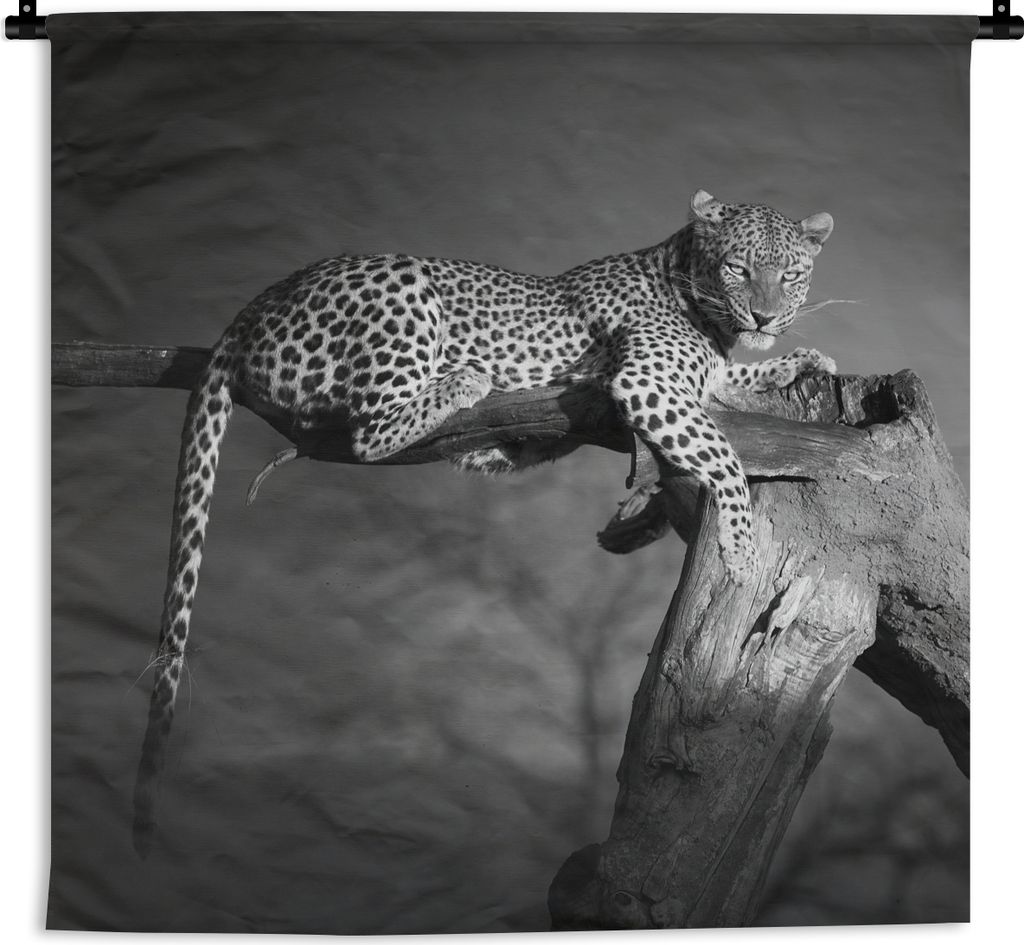 MuchoWow Wandteppich Wandbehang Panther - Baum - Tiere - Schwarz - Weiß 90x90 cm Tapisserie Dekoration Wandtuch - Wandaufhänger