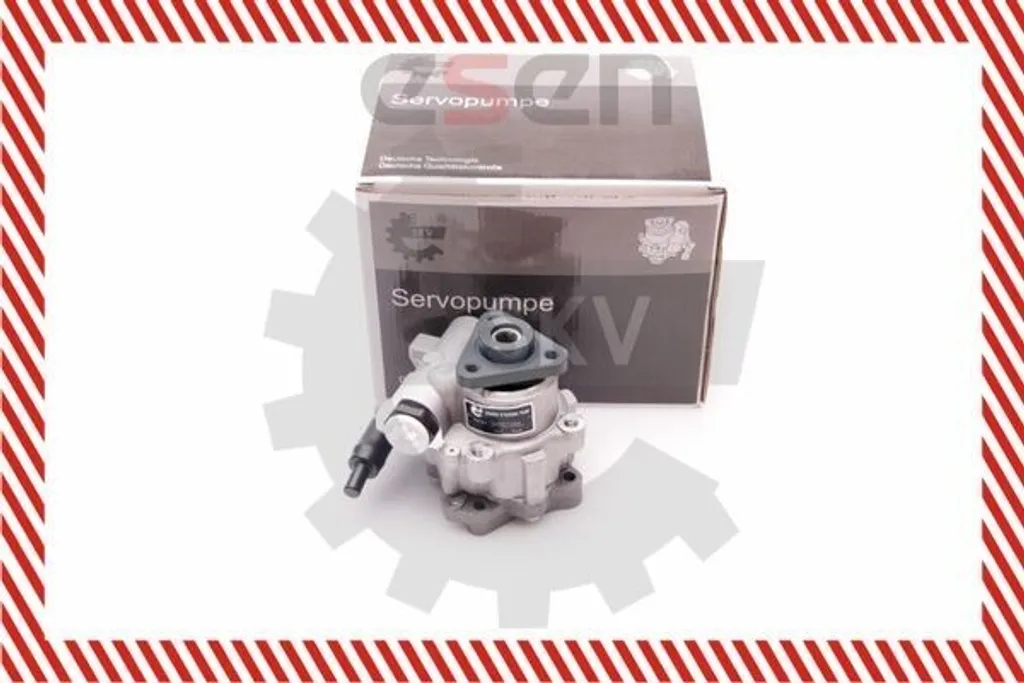 Supprimer bruits de direction Passat avec la pompe hydraulique 10SKV220
