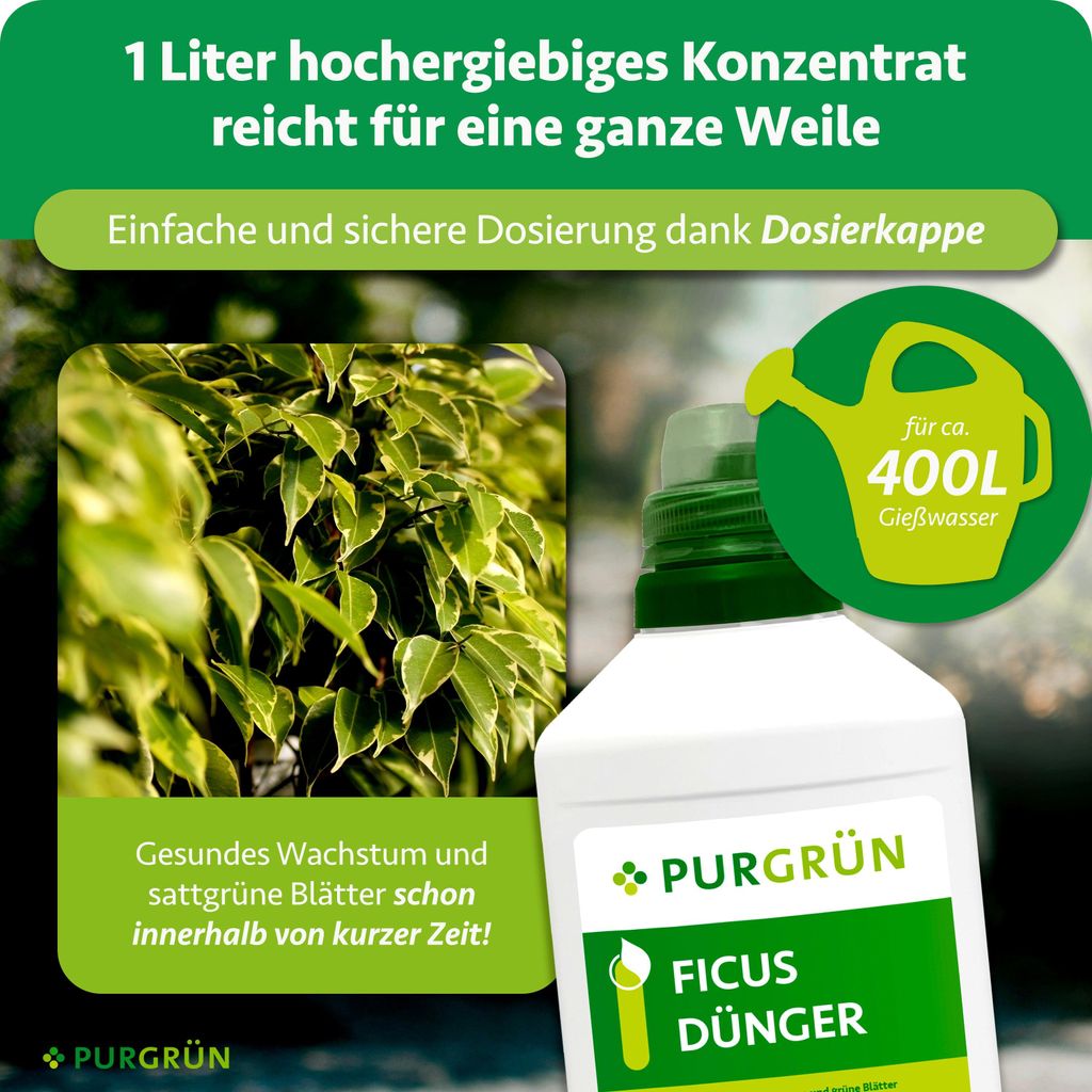 Purgrn Ficus-Dnger 1 Liter, Dnger
