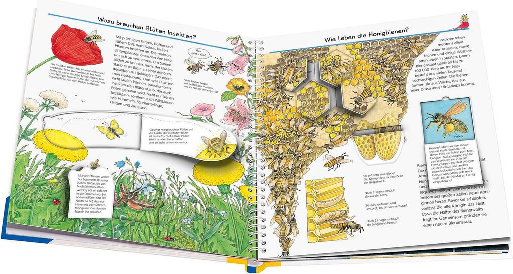 VERLAG: RAVENSBURGER VERLAG Wieso? Weshalb? Warum?, Band Produktbild 