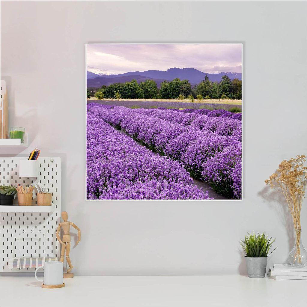 Design Stahlmagnettafel Quadratisch 50x50cm Lavendel 1