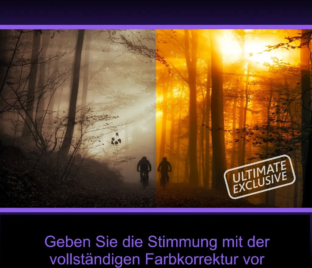 Éditer vos Vidéos Pro avec Pinnacle Studio 26 Ultimate Licence Email - 5