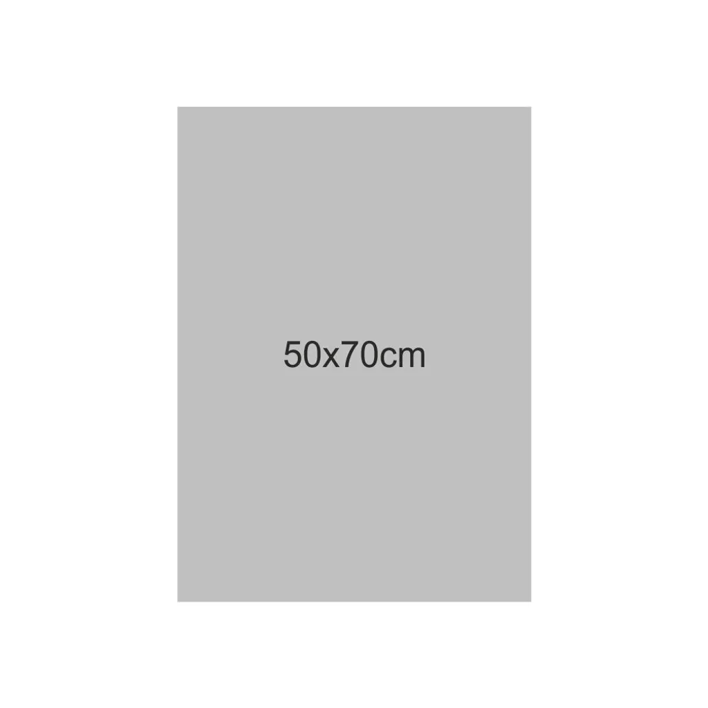 Acquista Folia 6122/10 60 Tonkarton Argento Opaco 500x700mm 220g - 6