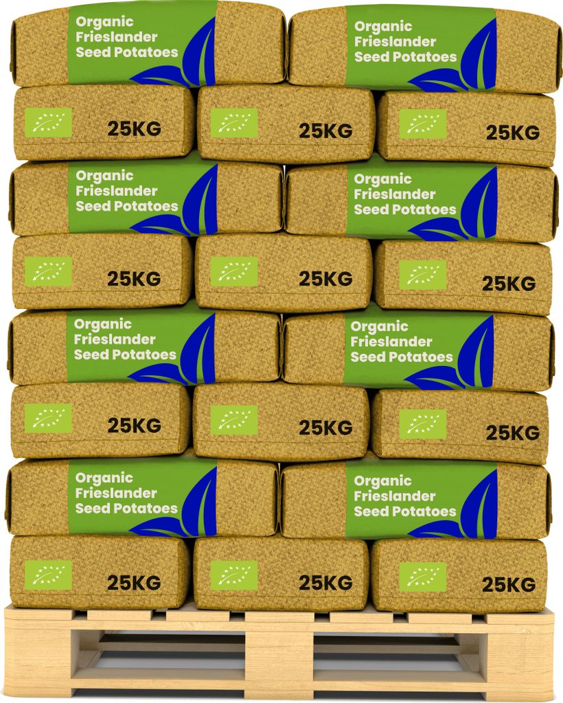 -Saatkartoffeln Frieslander A 28/35 (40x = 1000 kg) - Organifer
