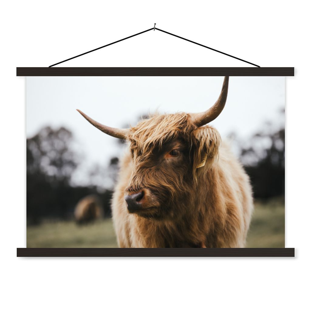 MuchoWow Textilposter Schottischer Highlander - Tiere - Hörner 120x80 cm mit schwarzem Rahmen - Wanddeko