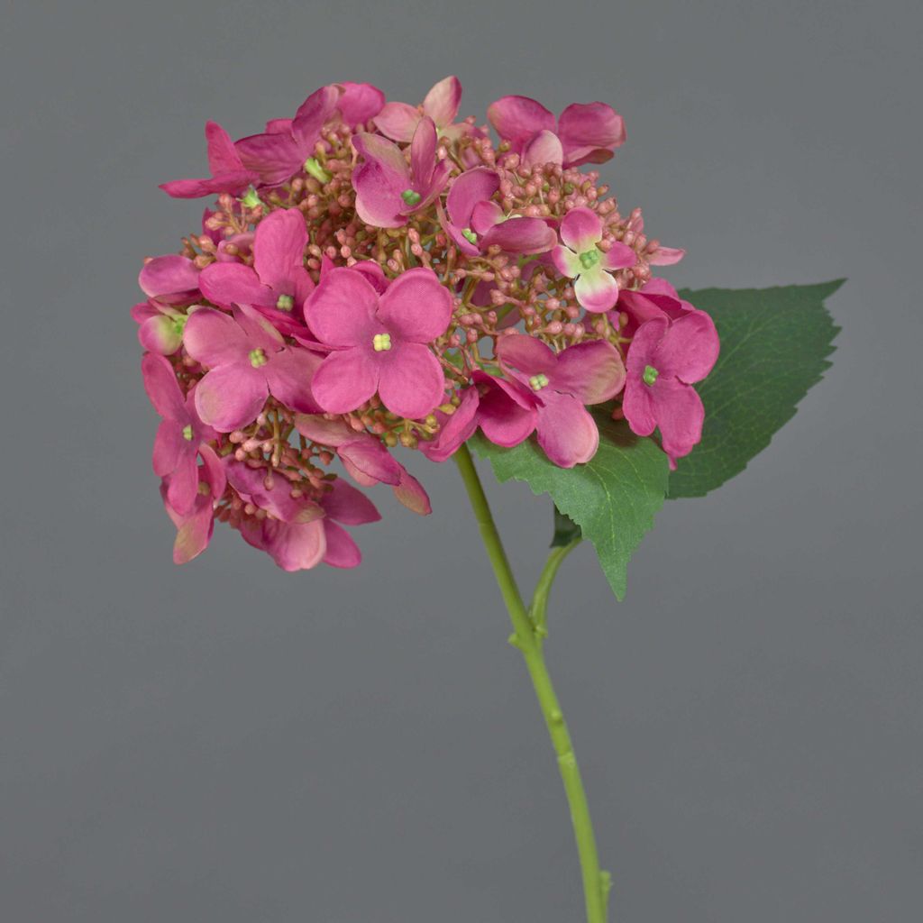 artplants.de Künstliche Hortensie CALESA, pink, 50cm - Kunstblume Hortensie
