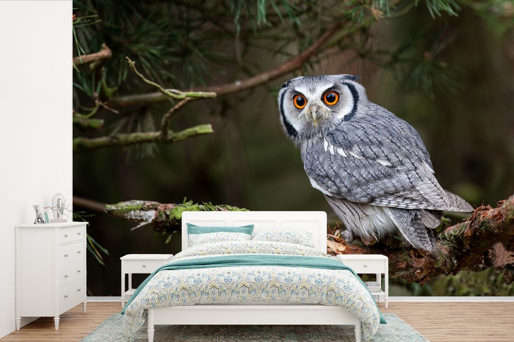 MuchoWow Fototapete für Wohnzimmer oder Schlafzimmer Wandtapete Vinyl Motivtapete Eule - Vogel - Äste - Natur - 420x280 cm - Zimmer für Kinder