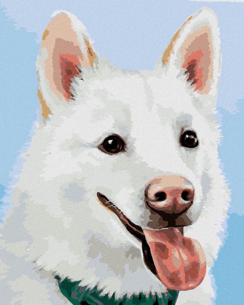Zuty - Malen nach Zahlen - WEISSER SCHWEIZER SCHÄFERHUND (MYROSLAVA VOLOSCHUK), 40x50 cm, ohne Keilrahmen