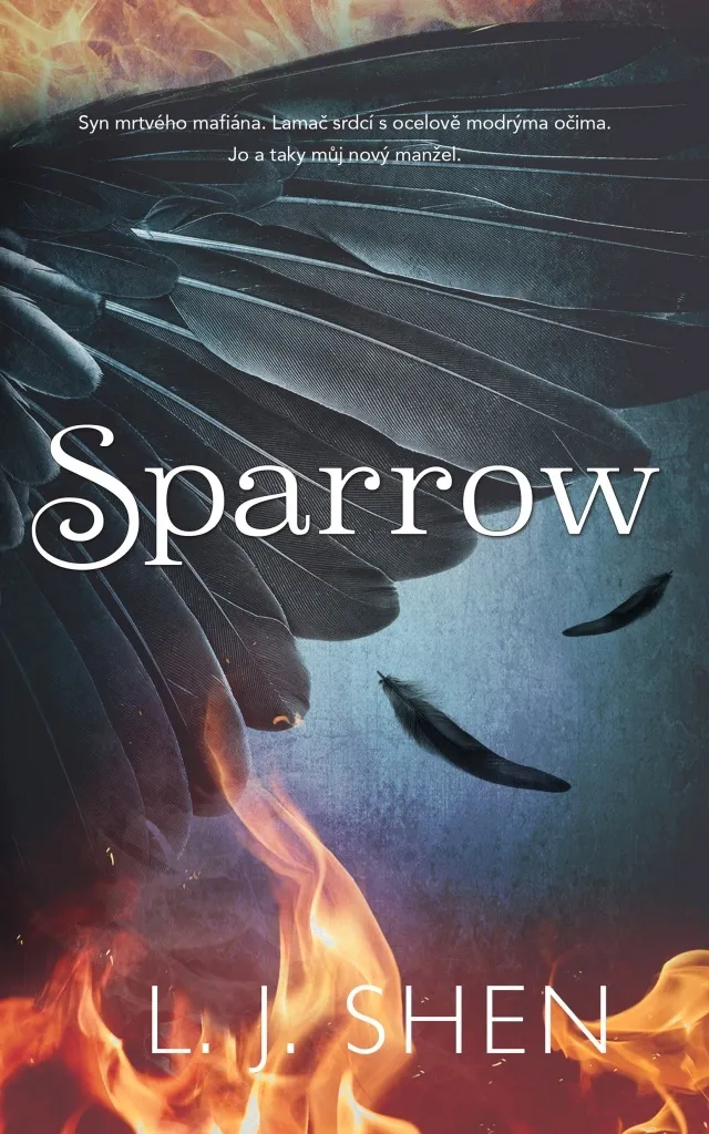Sparrow Shen L. J. - Drone de Prise de Vue Aérienne Haute Définition