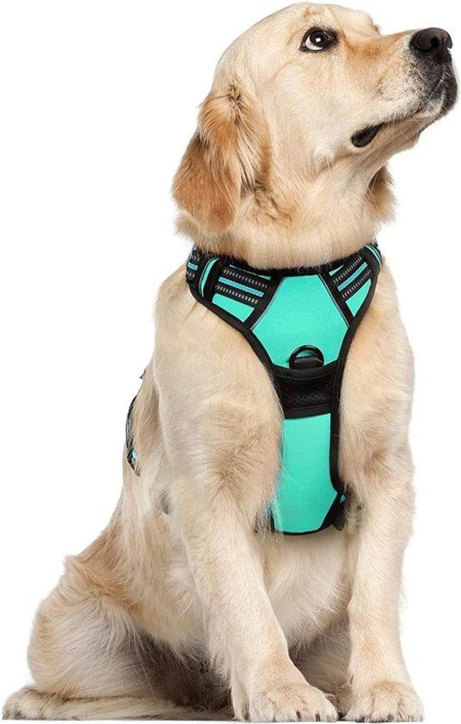 Mittelgroße Hundeleinen für sorglose Hundebesitzer Anti-Treibeleinen für große Hunde mit Fernbedienung, keine Ziehkräfte erforderlich Verstell...