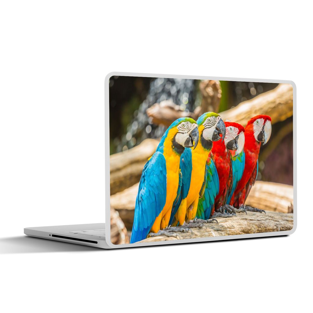 MuchoWow Laptop Aufkleber Sticker Cover Vögel - Papagei - Tropisch - Natur 25x18 cm - Laptop-Deko