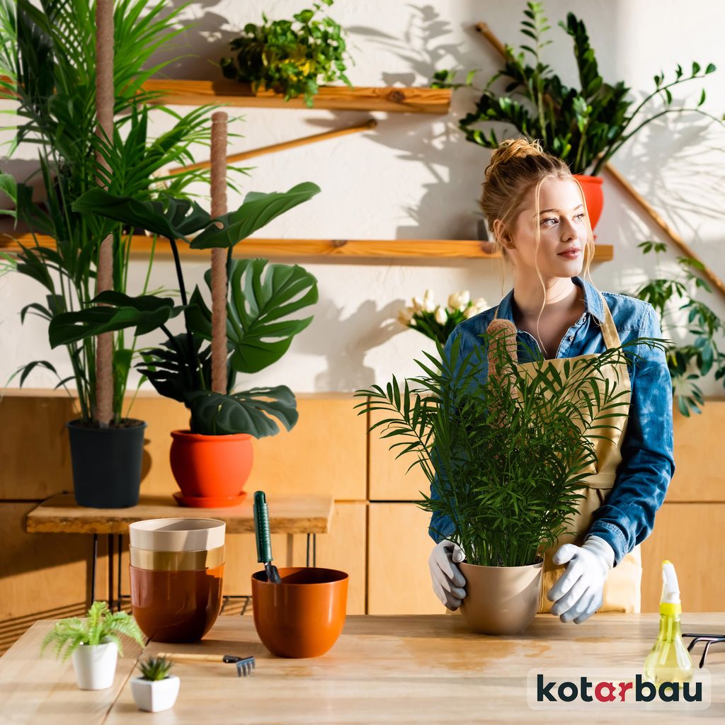KOTARBAU® Sada 4 mechových tyčí pro Monsteru Kokosový ořech Obrázek produktu 8