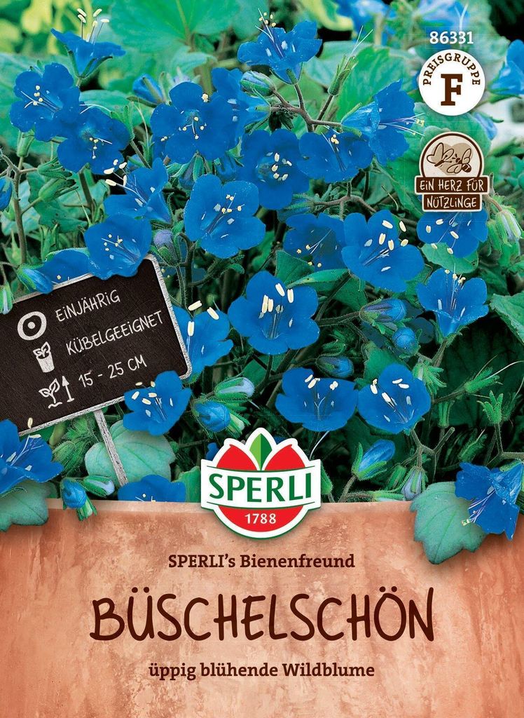 SPERLI Büschelschönsamen Bienenfreund Phacelia campanularia 250 Pflanzen