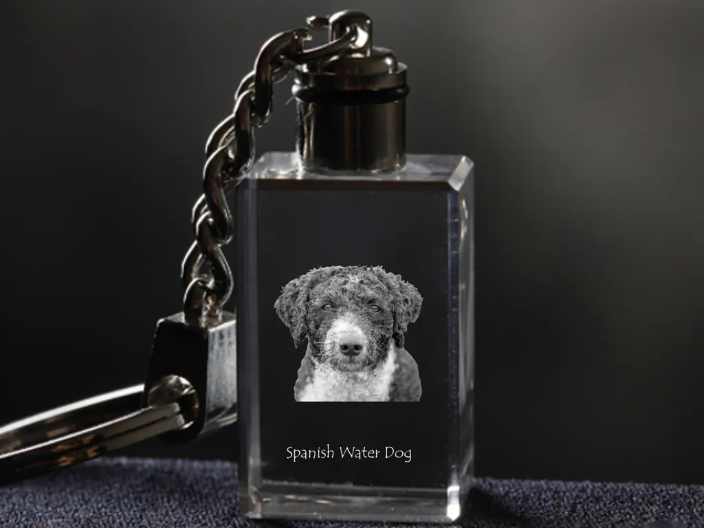 Regalo Unico Cane da Acqua Spagnolo Portachiavi Cristallo LED Art-Dog - 5