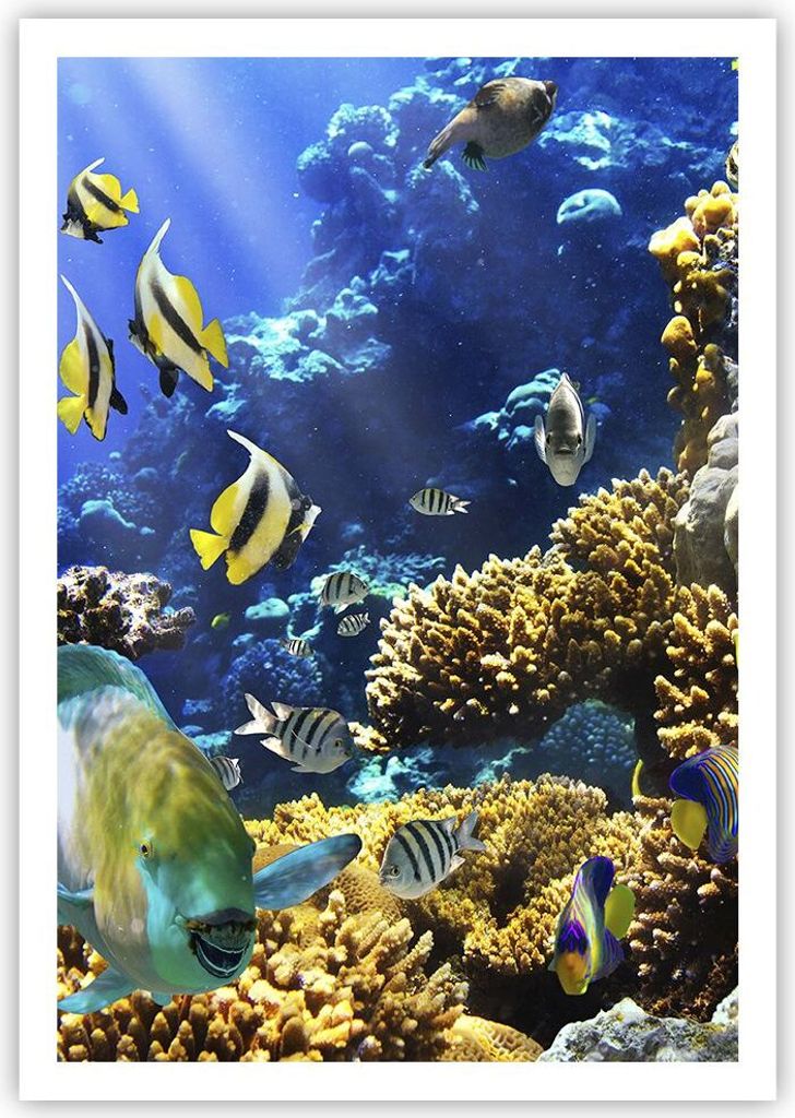 Poster - Poster ohne Rahmen - Korallenriff Ozean Krabbe Fisch - 70x100 cm - Wand Bild - Wanddeko - Wandbilder - Kunstposter - Wandposter - Bilder -...