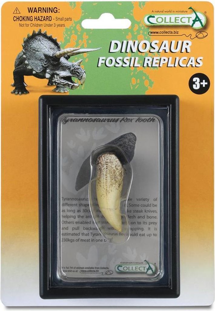 Zub Tyranosaura V Balení 89281 Collecta Obrázok produktu 